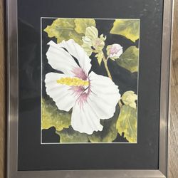 Flower Picture 