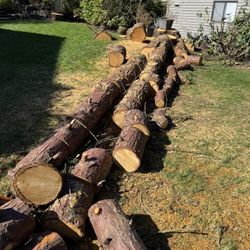 Free Wood/Branches - Cedar Rounds, Some Split. Round Branches. You Haul.