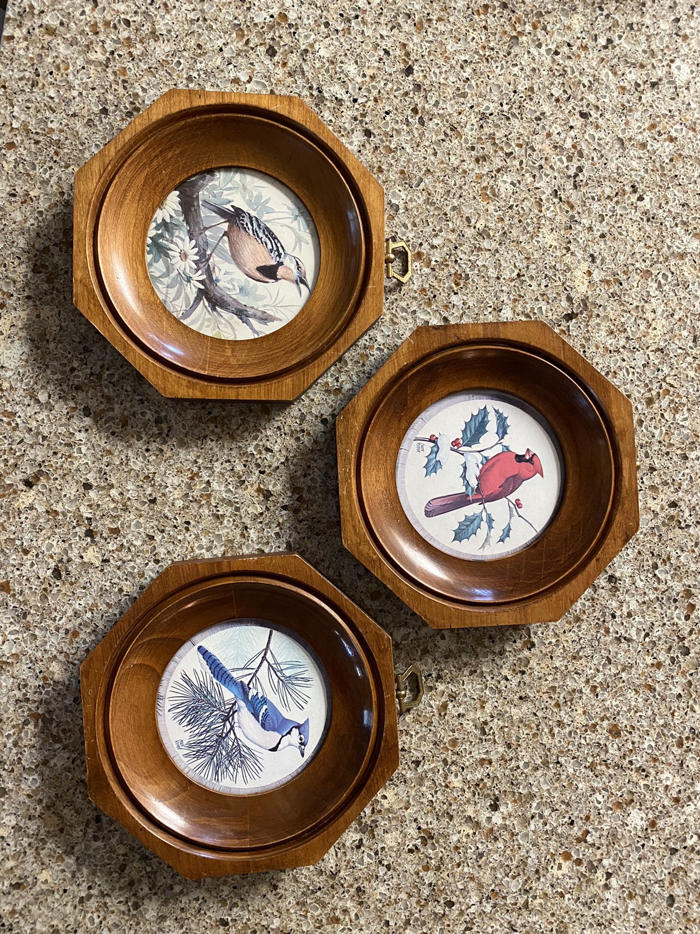 Set of 3 birds pictures