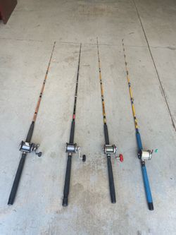 Tuna/ yellowtail /bass good for all