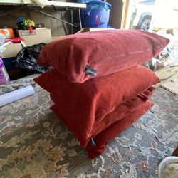 Feather 🪶 Sofa Pillows