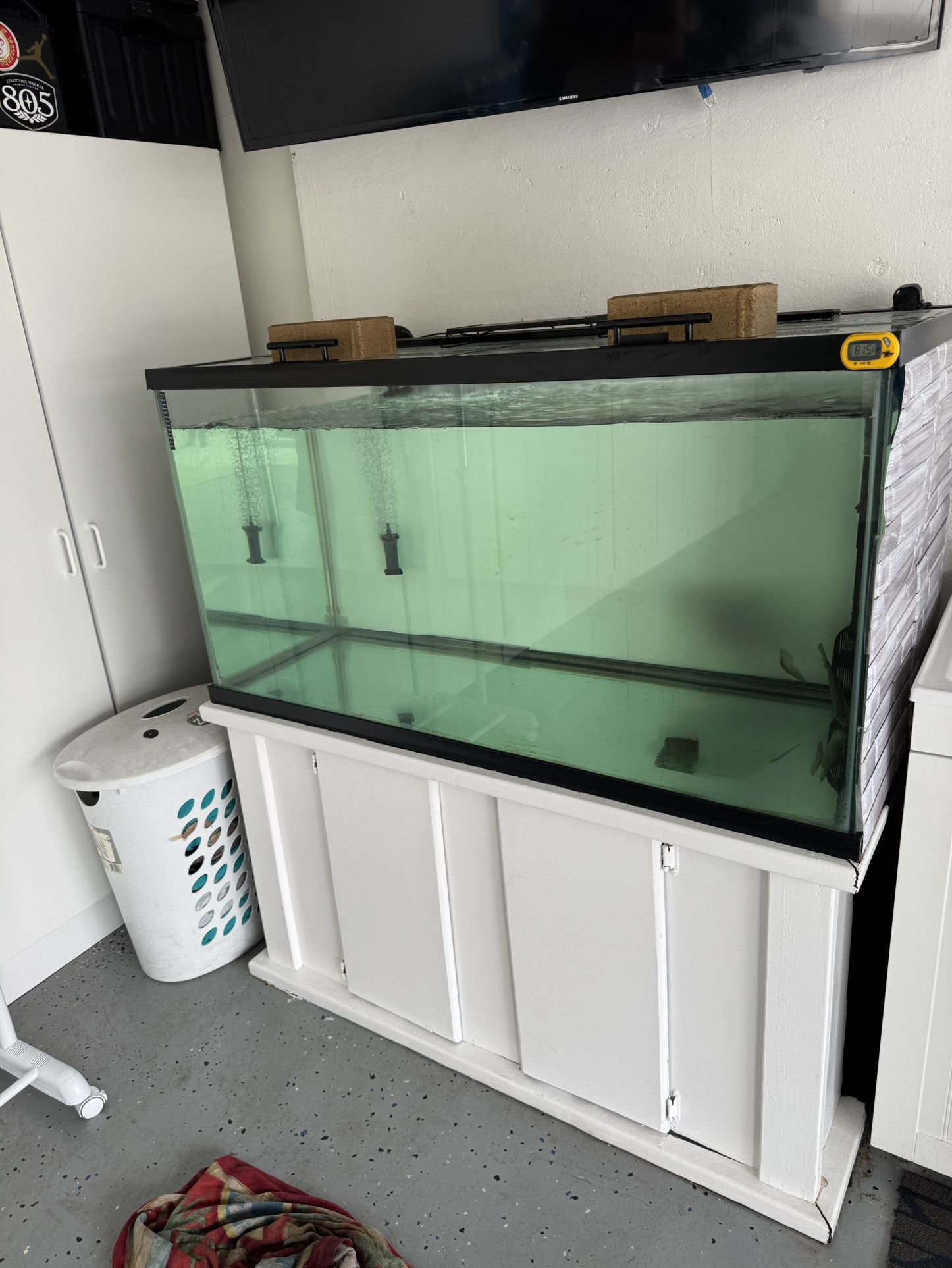 Fish Tank