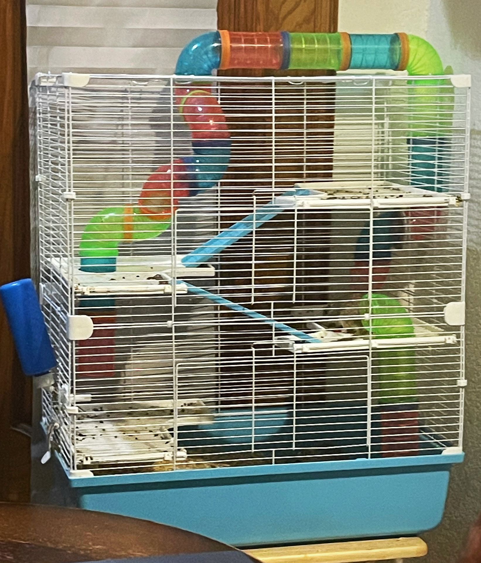 Gerbil Cage 