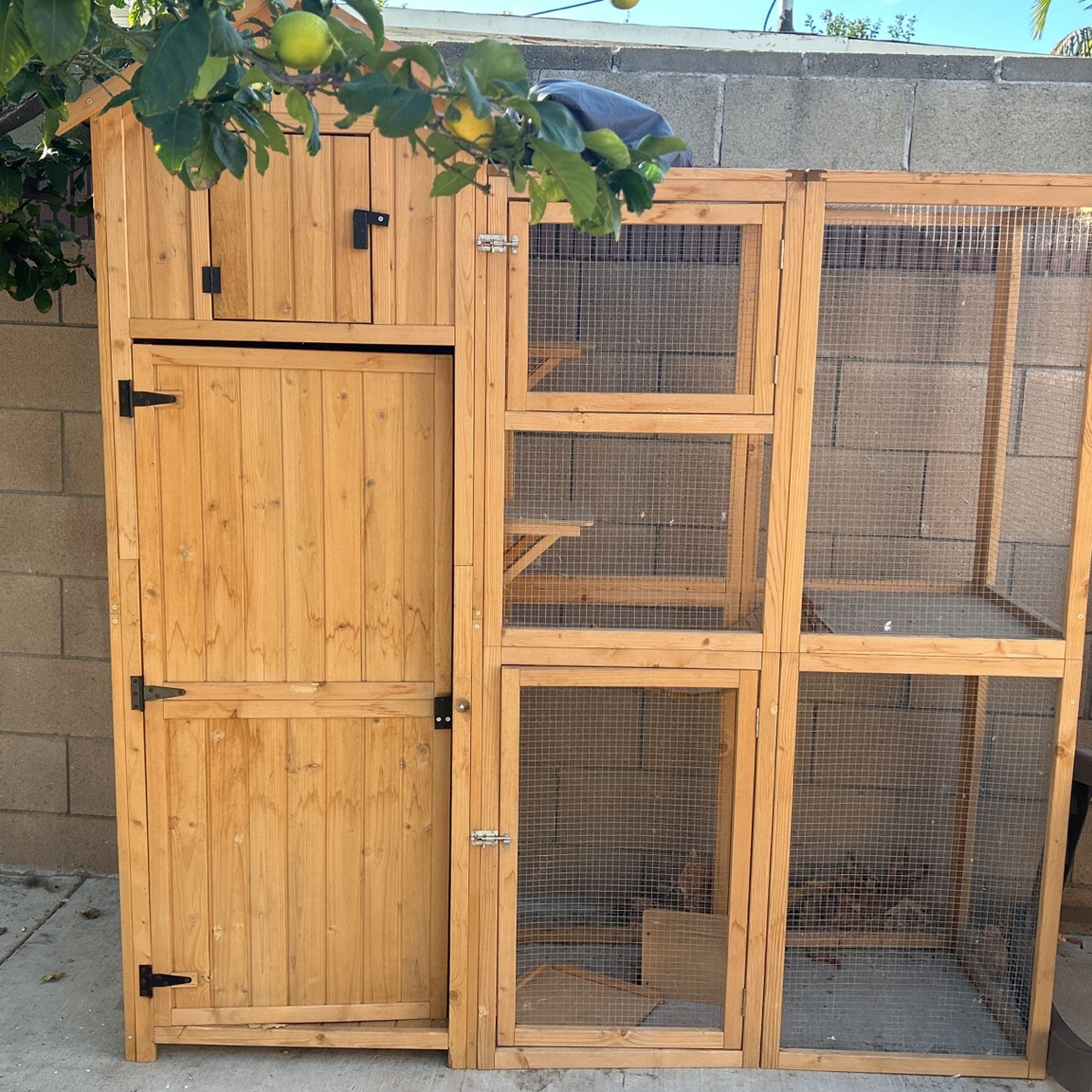 Cat House