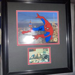 Marvel Spider-Man animation sericel signed by Stan Lee w/ coa