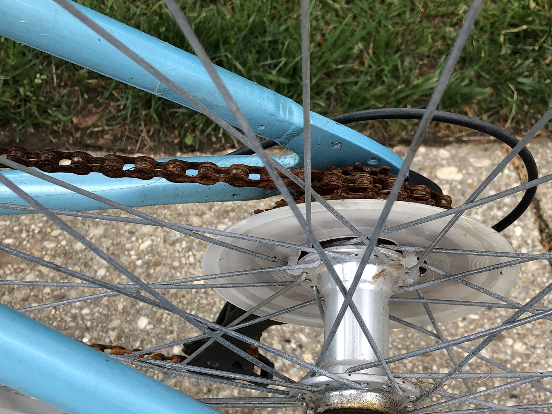 schwinn coronado women's comfort bike