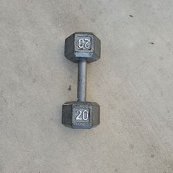 20 lbs cast iron weight