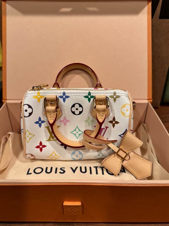 Louis Vuitton bag