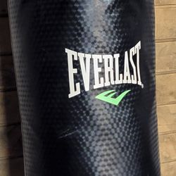 Everlast Boxing Bag With Gloves