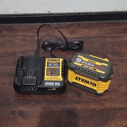 DEWALT 20 VT 60 VT BATTER AND CHARGER SET NEW 