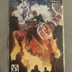 Storm & The Brotherhood Of Mutants (Marvel Comics)