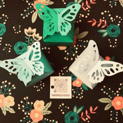 12 Butterfly boxes