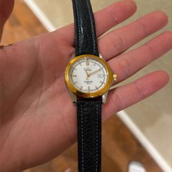 omega seamaster 120m