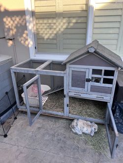 Bunny rabbit pet house