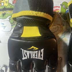 Everlast Sparing Gloves 