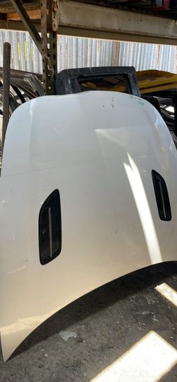 18-23 Kia Stinger Hood