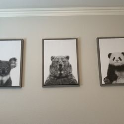 Black and White Animal Photos 