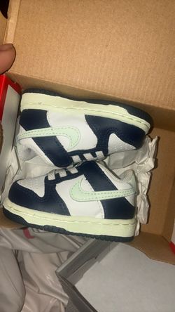 Brand new Nike Dunks Never Worn
