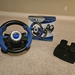 PS2 Steering Wheel