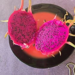 Dragon Fruit Tree,  Red Flash