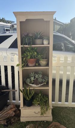 FREE Plant Shelf (Doesn’t Come With Plants)