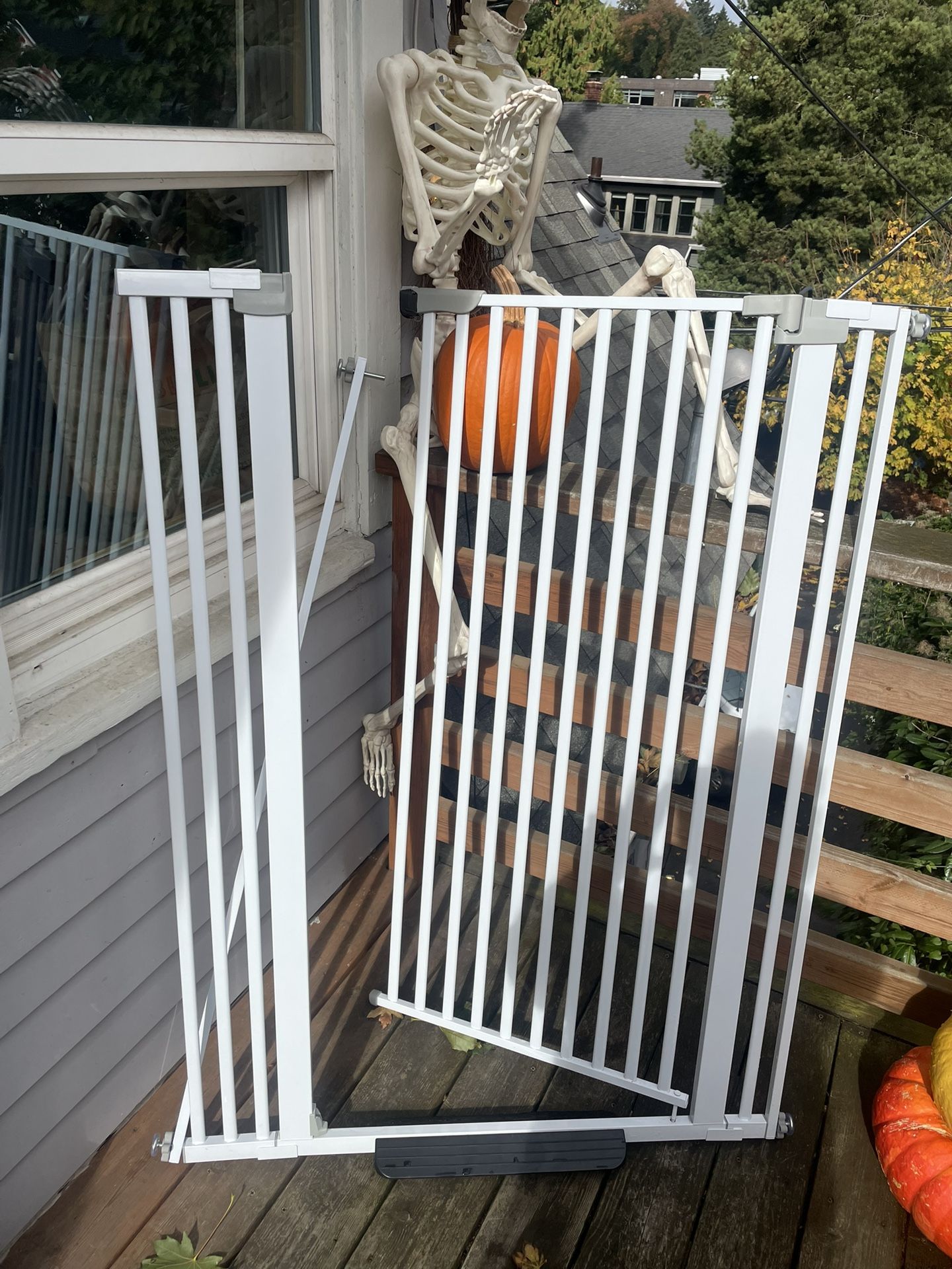 pet gate