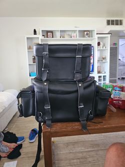 Sissy bar bags