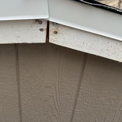  Neal (Shed Builder Guy)