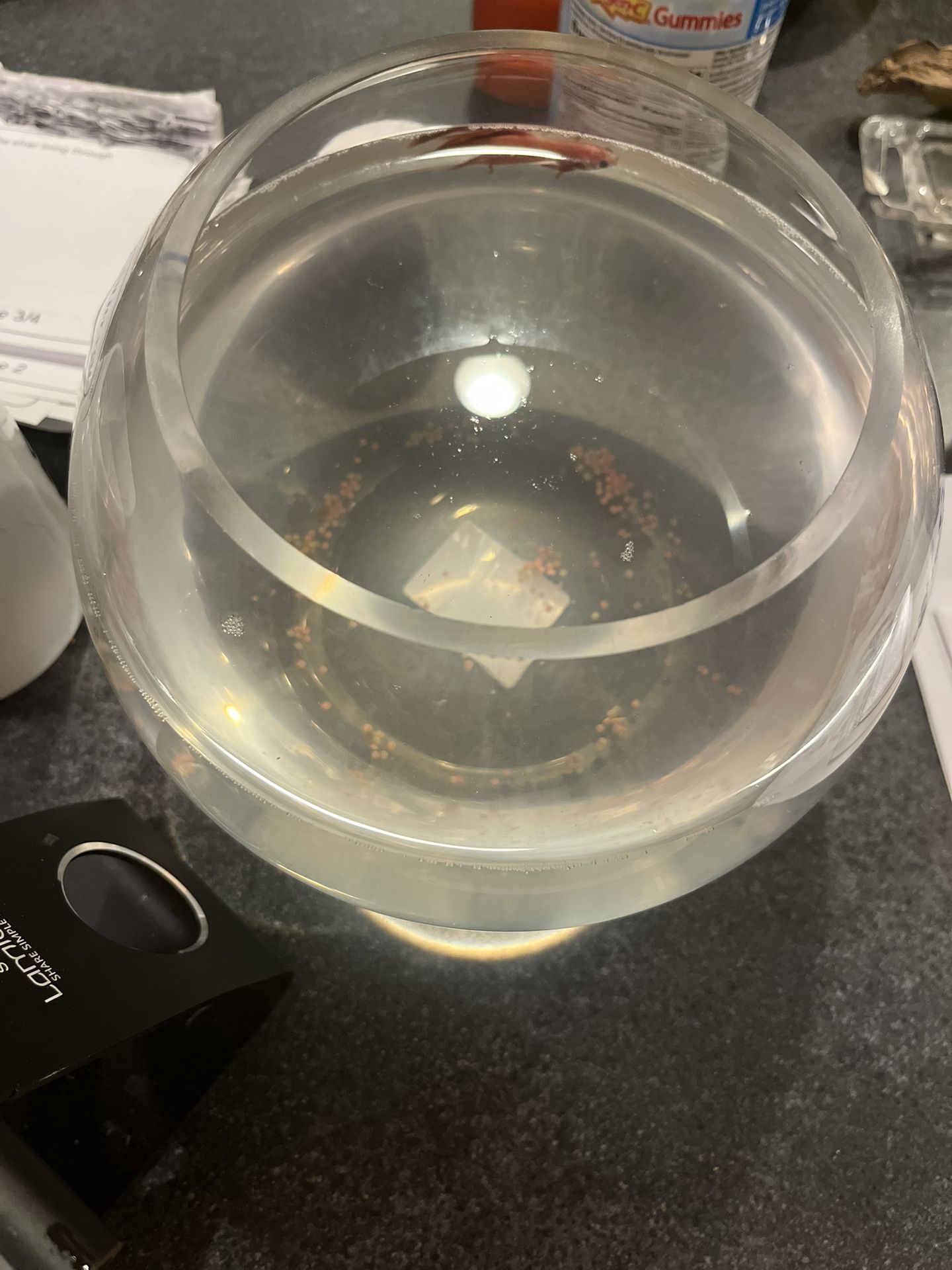 Fish Bowl/glass Bowl