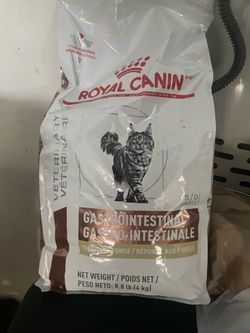 Cat food