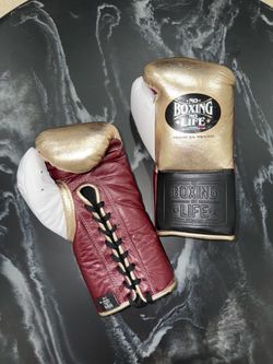 No Boxing No Life 8oz gloves