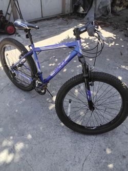 Adult bike