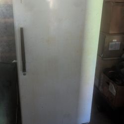Freezer, One Door, Commercial, Works Perfectly. 120 Volts, No Issue, $125, OBO.