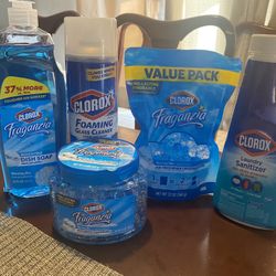 CLOROX BUNDLE $15