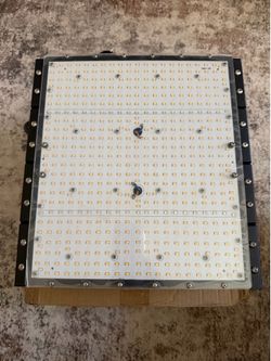 Zshonorligh 250W LED grow light
