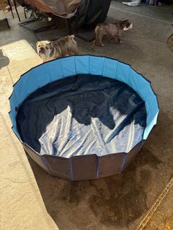 Dog pool wade pool