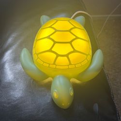 Turtle night light kids room