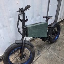 electric bike