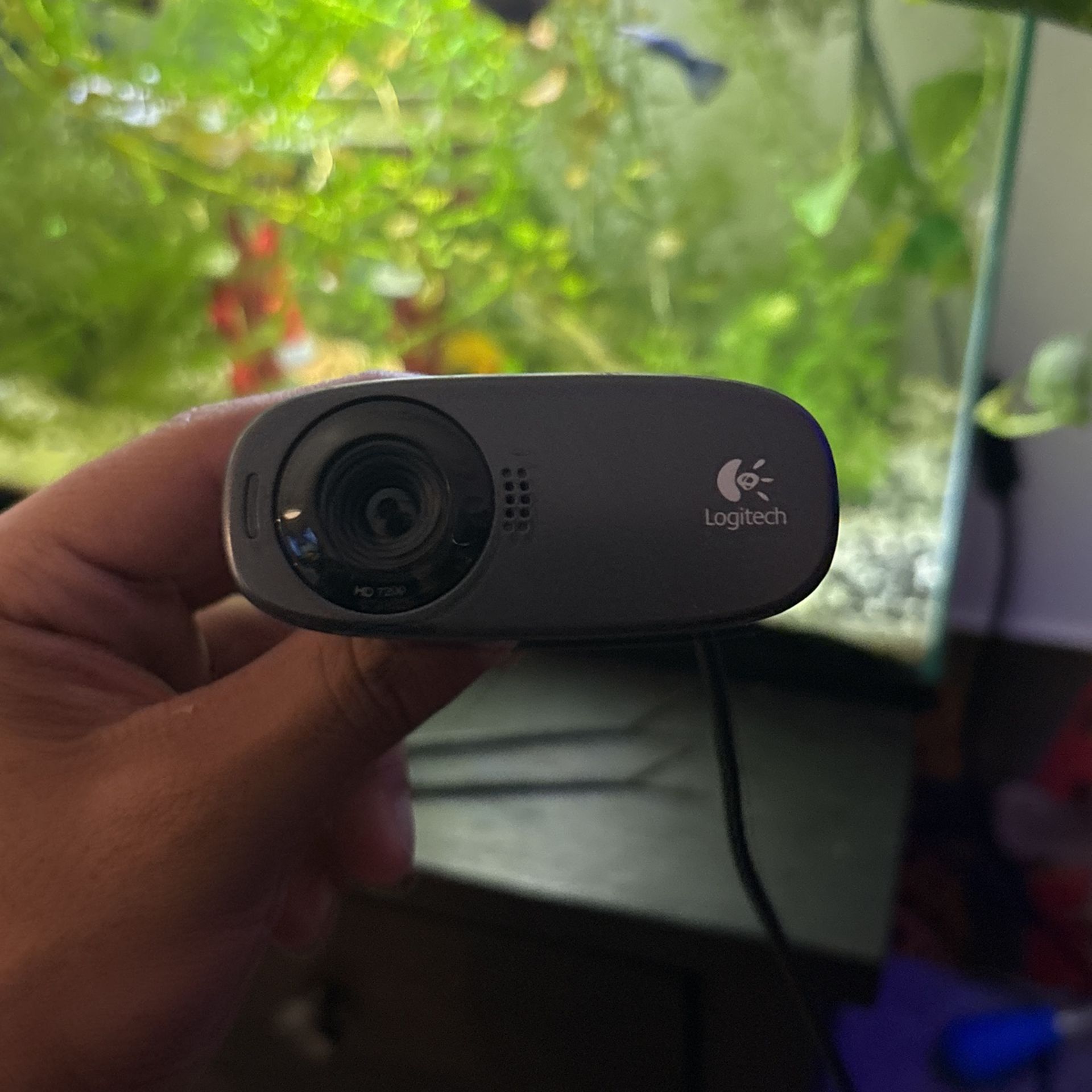 Webcam