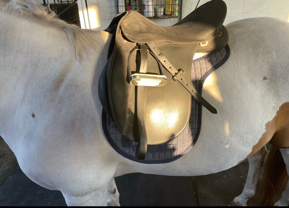 17.5" Wintec 2000 Saddle w/ Easy Change Gullet system
