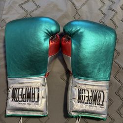 Campeon boxing gloves 