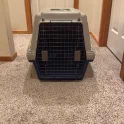 Dog Kennel