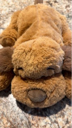 Snuggle Puppy