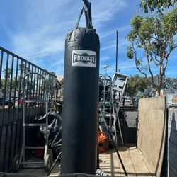 Prolast Punching Bag