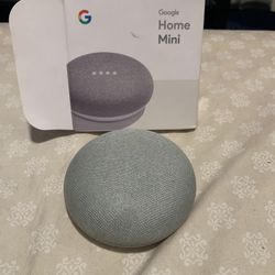 Google Mini