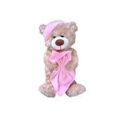 TOYS R US PLUSH SLEEPY TIME TEDDY BEAR BEDTIME STUFFED TOY PINK SATIN BLANKET