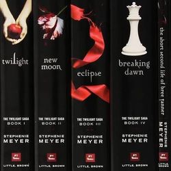 Twilight Saga 4 Book Set
