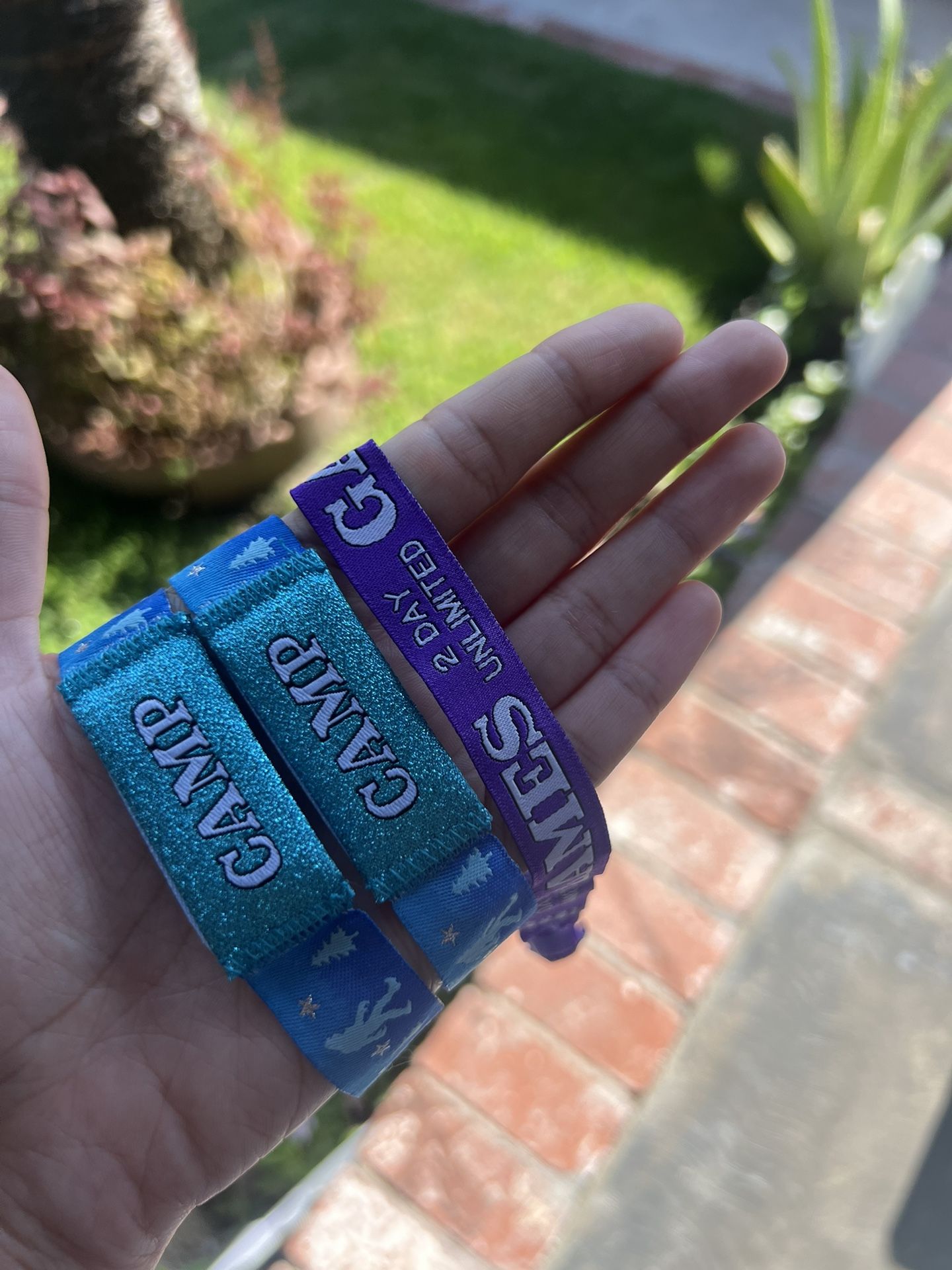 Camp Flog Gnaw 2 GA + 1 Games Pass 