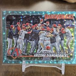 Arizona Diamondbacks Team Card /399 Foilboard Silver