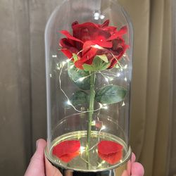 Beauty and the Beast Rose in Glass With LED Lights